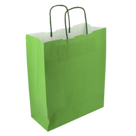 Papieren zak met handgrepen Groen 100g/m² 25+11x31cm (200 stuks) 