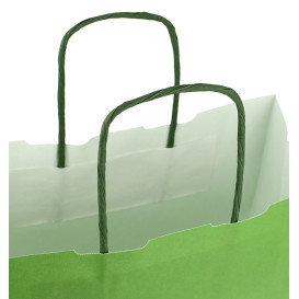 Papieren zak met handgrepen Groen 100g/m² 25+11x31cm (200 stuks) 