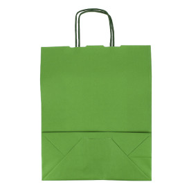Papieren zak met handgrepen Groen 100g/m² 25+11x31cm (200 stuks) 