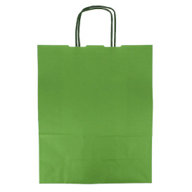 Papieren zak met handgrepen Groen 100g/m² 25+11x31cm (200 stuks) 