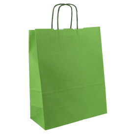 Papieren zak met handgrepen Groen 100g/m² 25+11x31cm (200 stuks) 