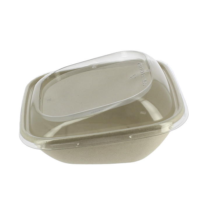 Suikerriet Container met Deksel 750ml 19x19x8cm (90 stuks) Suikerriet Container met Deksel 750ml 19x19x8cm (90 stuks)