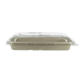 Suikerriet Container met Deksel 600ml 23x16x5cm (15 stuks) 