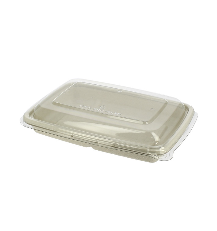 Suikerriet Container met Deksel 600ml 23x16x5cm (90 stuks) Suikerriet Container met Deksel 600ml 23x16x5cm (90 stuks)