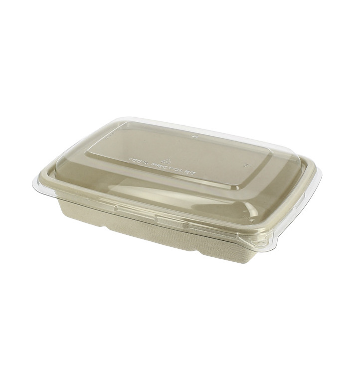 Suikerriet Container met Deksel 950ml 23x16x6cm (90 stuks) Suikerriet Container met Deksel 950ml 23x16x6cm (90 stuks)