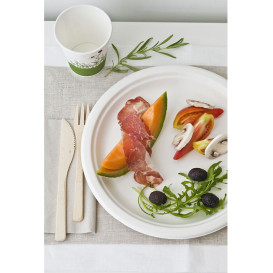 Assiette Bio en Canne à Sucre Blanc Ø260mm (25 Unités)