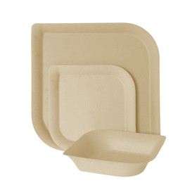 Suikerriet bord Bagasse en Bamboe 15,0 cm (50 stuks) 