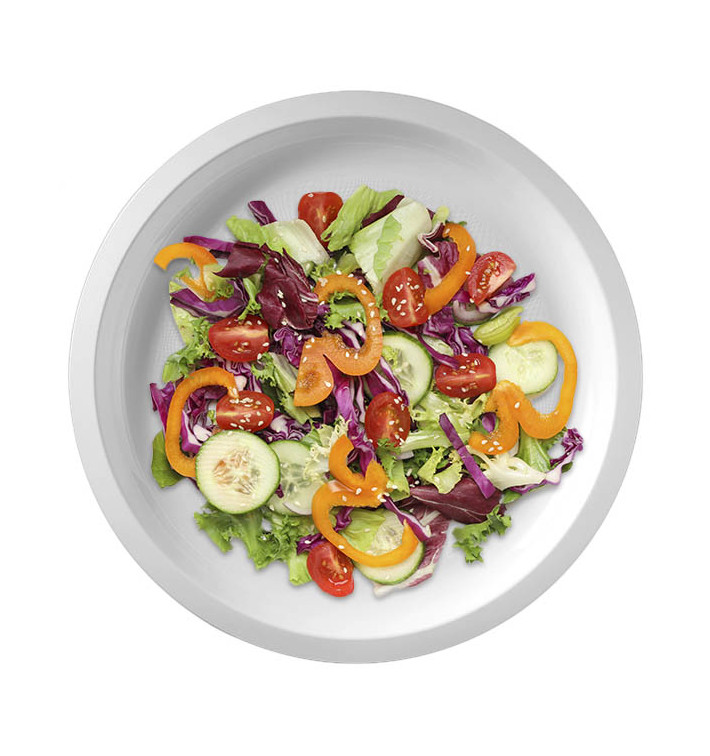 Assiette en plastique dur réutilisable