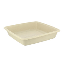 Suikerriet Container 1000ml 23x23x3cm (75 stuks) 