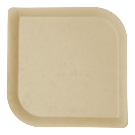 Assiette Bagasse et Bambou Naturel 23,8 cm (50 Utés)