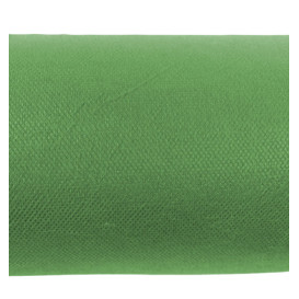 Nappe Rouleau PP Non Tissé Pistache 1,2x50m 50g (6 Utés)