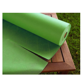 Nappe Rouleau PP Non Tissé Pistache 1,2x50m 50g (6 Utés)