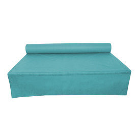 Nappe Rouleau PP Non Tissé Turquoise 1,2x50m 50g (6 Utés)