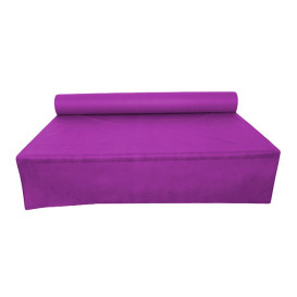 Nappe Rouleau PP Non Tissé Fuchsia 1,2x50m 55g (1 Uté)