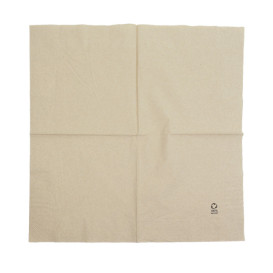 Serviette Papier Ecologique 40x40cm 2E (50 Unités)