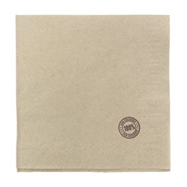 Serviette Papier Eco "Recycled" 33x33cm 1E (4800 Utés)