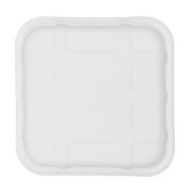 Plateau à Canne à Sucre 14,1x14,1cm (50 Unités)