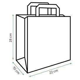 Sac en Papier Kraft Blanc avec Anses 100g/m² 22+11x27cm (250 Utés)