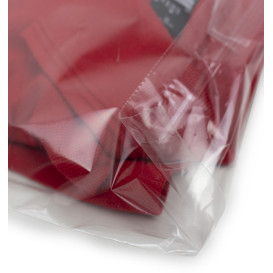 Sac en CPP fermeture adhésive 35x45cm G160 (1000 Utés)