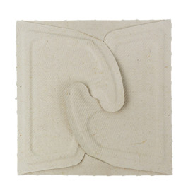 Boîte Canne à Sucre Box to Go 13x13x7cm 500ml. (50 Utés)