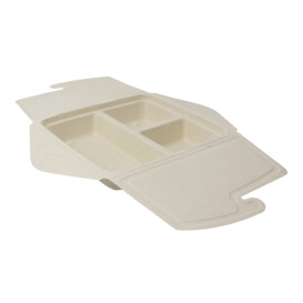 Pakket Suikerriet Box to Go 3C 21x21x4cm 900ml (50 stuks)