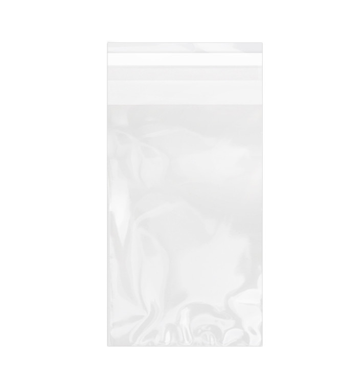 Sac en Polypropylène BO Avec Fermeture Adhésive 10x15cm G160 (1.000 Utés) Sac en Polypropylène BO Avec Fermeture Adhésive 10x15cm G160 (1.000 Utés)