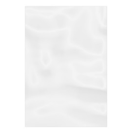 Plastic zak G100 10x15cm (100 stuks) 