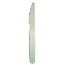 Couteau Réutilisable Durable PP Vert 18,5cm (180 Utés)