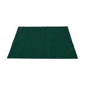 Set de Table en PP Non-Tissé Vert 35x50cm 50g (500 Utés)