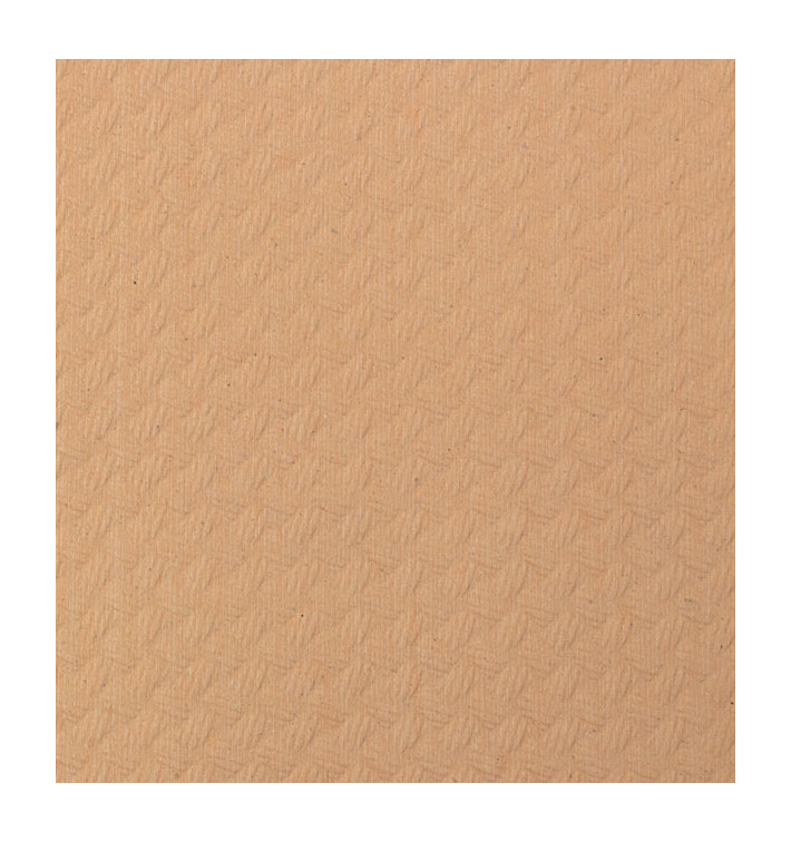 Papieren tafelkleed rol zalm 1x100m 40g (1 stuk) Papieren tafelkleed rol zalm 1x100m 40g (1 stuk)