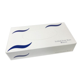 Gezichts tissue 2 laags 100 stuks (48 Cases)