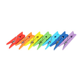 Pince en Bambou Buffet Assortiment 2,5cm (100 Utés)