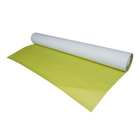 Nappe en papier en Rouleau Vert Pistache 1x100m 40g (6 Unités)