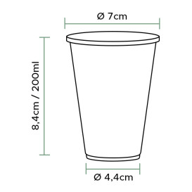 Verre Plastique PP 200ml Transparent (100 Utés)