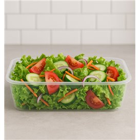 Barquette Plastique Transparente 500ml  17,4x11,6x3,5cm (25 Utés)