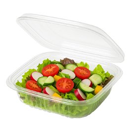 Coque Carrée avec charnière PET 250ml (100 Utés)