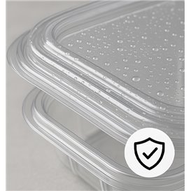 Coque Carrée avec charnière PET 250ml (100 Utés)