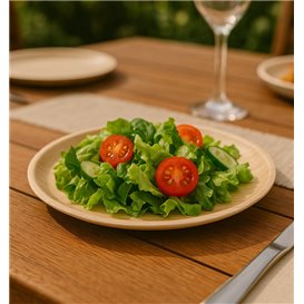 Palm blad bord Rond vormig Ø25cm (25 stuks) 