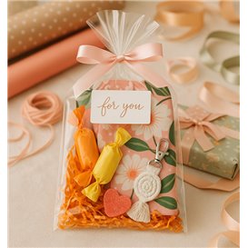 Sac en Polypropylène BO Sans fermeture 15x22cm G130 (100 Utés)