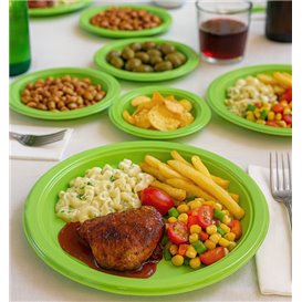 Assiette Plastique PS Réutilisable Plate Vert Citron Ø220mm (25 Utés)