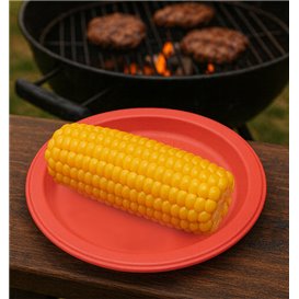 Plastic bord PS Herbruikbaar Plat Rood Ø165mm (450 Stuks)