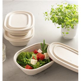 Couvercle de Canne à Sucre pour Bol 19X15cm (50 Utés)