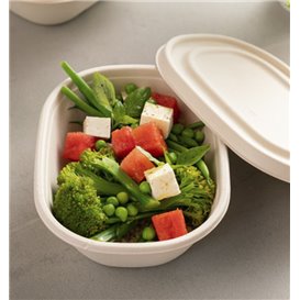 Suikerriet Deksel voor Kom 19X15cm (50 stuks)