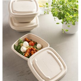 Couvercle de Canne à Sucre pour Bol 13x13cm (500 Utés)