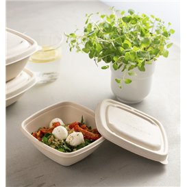 Couvercle de Canne à Sucre pour Bol 13x13cm (50 Utés)