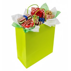 Papieren zak met handgrepen Groen 90g/m² 22+10x27cm (25 stuks)