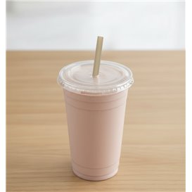 Paille en Canne à Sucre Eco Droite Ø6mm 15 cm (100 Utés)