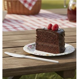 Herbruikbaar Composteerbare Wit Mes-CPLA 16,8 cm (1500 Stuks)